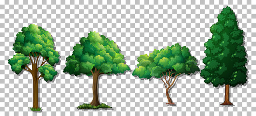 Wall Mural - Set of various trees on transparent background