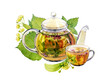 Watercolor illustration. Herbal tea. A glass teapot with a cup of herbal tea. Linden, mint.