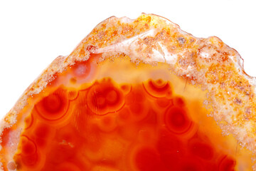 Canvas Print - Macro mineral orange agate in crystals on white background