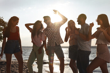 Wall Mural - Group of friends having fun near river at summer party