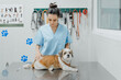 © ADDICTIVE STOCK - Vet checking up Shih Tzu on table in clinic