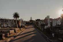 Tombstones Either Side Of The Road Through Waverley Cemetery At Sunset.