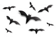 Bats Silhouettes. Halloween design element. Vector illustration.