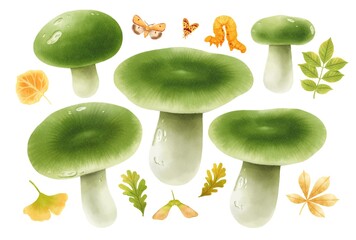 Wall Mural - Mushroom with autumn elements illustration watercolor style collection