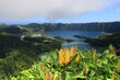 The green and blue lagoon, view from Miradouro da Vista do Rei, Sao Miguel island, Azores
