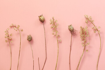 Wall Mural - pastel pink background with dry flowers