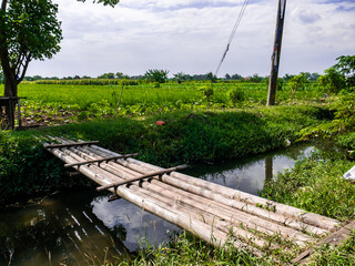 Wall Mural - simple bamboo bridge with rice fields and white clouds in the background
