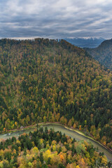Wall Mural - fog in the mountain forest with yellow and red leaves, top view