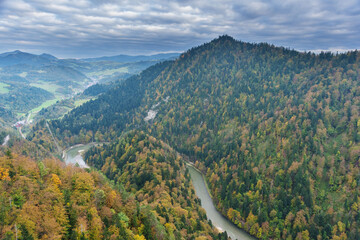Wall Mural - fog in the mountain forest with yellow and red leaves, top view