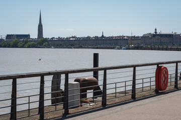 Wall Mural - Cityscape of Bordeaux (France)