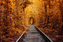 Love Tunnel In Autumn. A Railway In The Autumn Forest. Tunnel Of Love, Autumn Trees And The Railroad