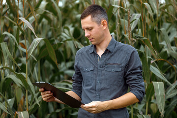 young agronomist holds a paper chart in his hands and analyzes the corn crop