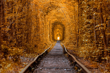 Wall Mural - love tunnel in autumn. a railway in the autumn forest. Tunnel of Love, autumn trees and the railroad