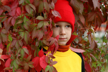 Wall Mural - A boy in yellow clothes and a red hat on a background of red leaves, autumn mood, warm colors