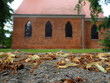 fallen yellow leaves lie on the ground in front of an old brown brick building. autumn