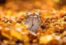 Concept Old Alarm Clock Stands Among The Golden Fallen Leaves In The Autumn Park