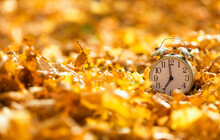 Concept Old Alarm Clock Stands Among The Golden Fallen Maple Leaves In Autumn Park