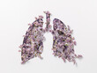 Artificial human lungs filled with lilac field flowers and lavenders isolated on a white background. The time of seasonal allergies and blooming season.  Minimal coronavirus or pneumonia concept.