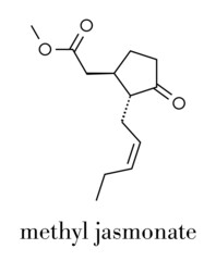 Sticker - Methyl jasmonate plant stress signal molecule. Skeletal formula.