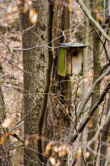 Canvas Print - Wooden old birdhouse on a tree trunk in the forest.