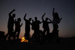 © New Africa - Group of friends having party near bonfire in evening. Camping season