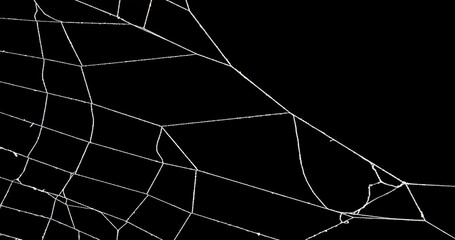 Wall Mural - real spooky spider web with insect trapped in web.