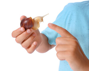 Poster - Little boy with snail on white background, closeup