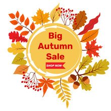 Big Autumn Sale Vector Banner With Foliage. Shop Now. Promotion Poster, Social Media Post, Discount Card Or Flyer Design Template. 