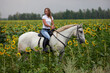 Beautiful equestrian country girl riding white horse in the sunflowers fields