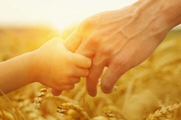 Wall Mural - Hands of father and daughter on sun