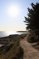 Poster - sunset and pathway to the beach