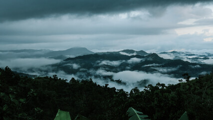 Wall Mural - Mesmerizing view of dense trees and mountains covered with clouds under a gloomy sky