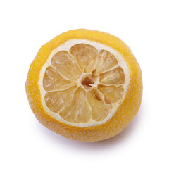 Sticker - Slice of bad dry lemon