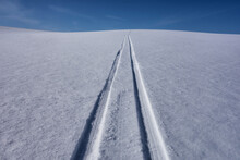 Sled Tracks On Snow.