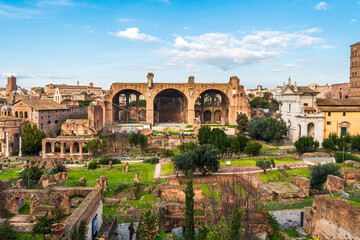 Wall Mural - Buildings of ancient roman forum viewed from the distance