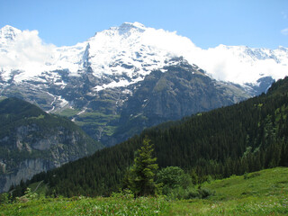 Sticker - Picturesque view of snow-covered mountains and dense green trees