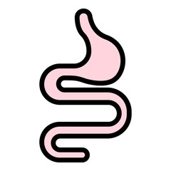 Poster - Animal stomach icon. Outline animal stomach vector icon color flat isolated