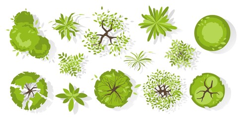 trees top view. different colored plants and trees vector set for architectural and landscape design