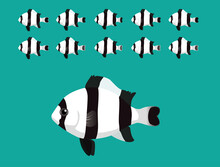 Animal Animation Sequence Four Striped Damselfish Swimming Cartoon Vector