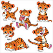 The little tiger stands, crawls, sleeps, eats, walks and sits. Collection of drawings of a small tiger. Vector illustration