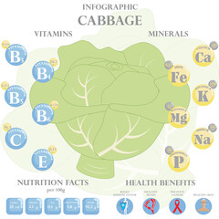 Wall Mural - Шаблон Food Infographic