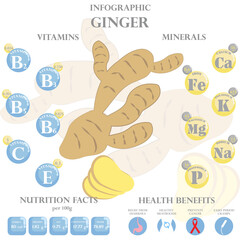 Wall Mural - Ginger nutrition facts and health benefits infographic