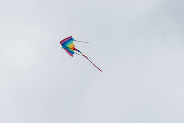 Wall Mural - colorful kites flying over the sky