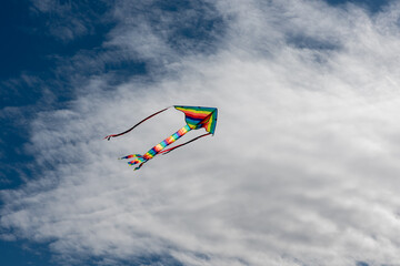 Wall Mural - colorful kites flying over the sky