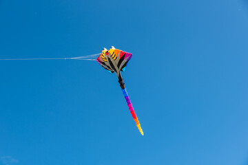 Wall Mural - colorful kites flying over the sky