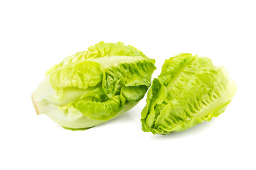 new harvest fresh Romaine Lettuce on white background