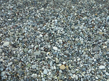 Sea Colorful And Gray Small Stones Pebbles On A Beach