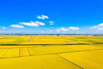 常総市（三妻駅～南石下駅）の田園地帯を走行する関東鉄道常総線の普通列車（茨城県常総市）