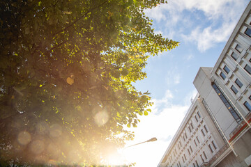 Poster - Vertical shot of a building and a sky in the morning city