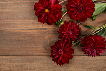 Fotomurales - Red dahlia flowers on brown wooden background, copy space.